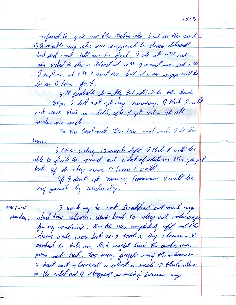 Dr John WorldPeace 2008 Prison Journal